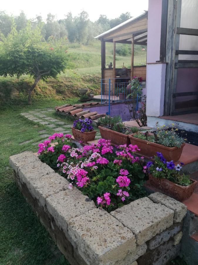 Sant'Ermo Agriturismo Campolungo מראה חיצוני תמונה