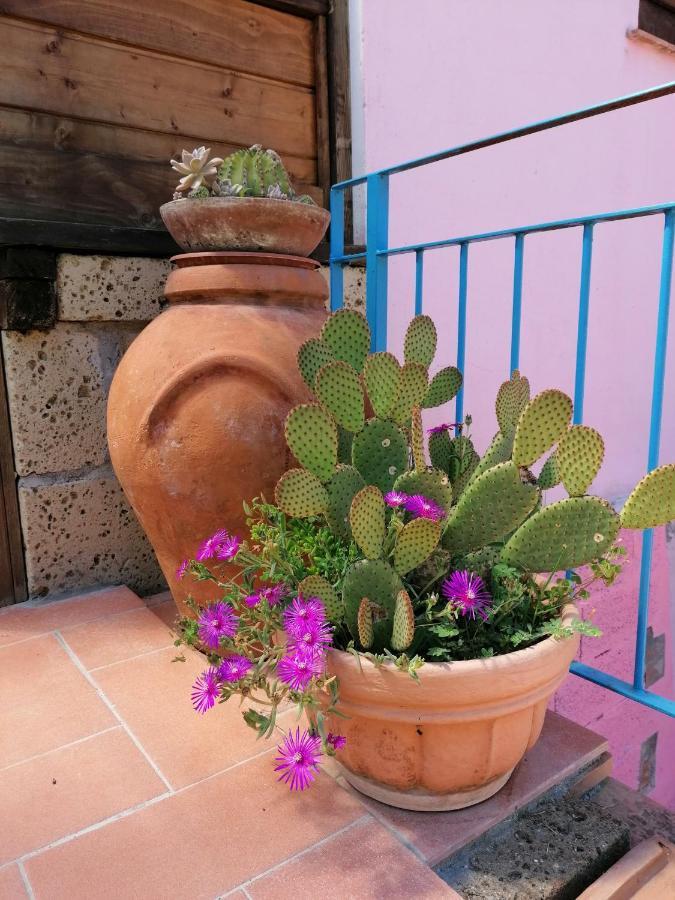 Sant'Ermo Agriturismo Campolungo מראה חיצוני תמונה
