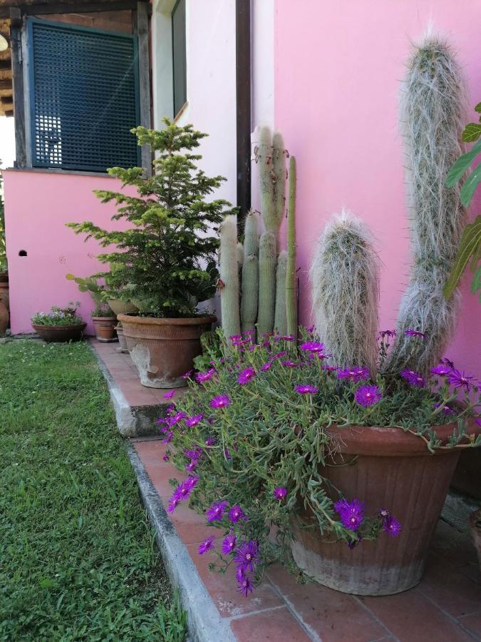 Sant'Ermo Agriturismo Campolungo מראה חיצוני תמונה