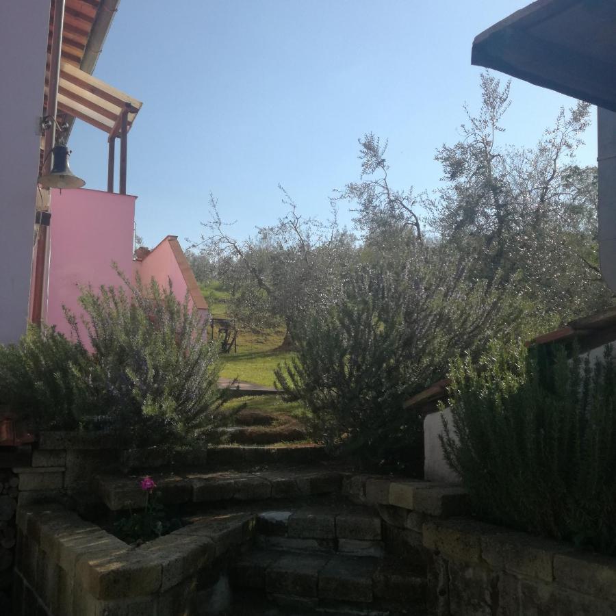 Sant'Ermo Agriturismo Campolungo מראה חיצוני תמונה