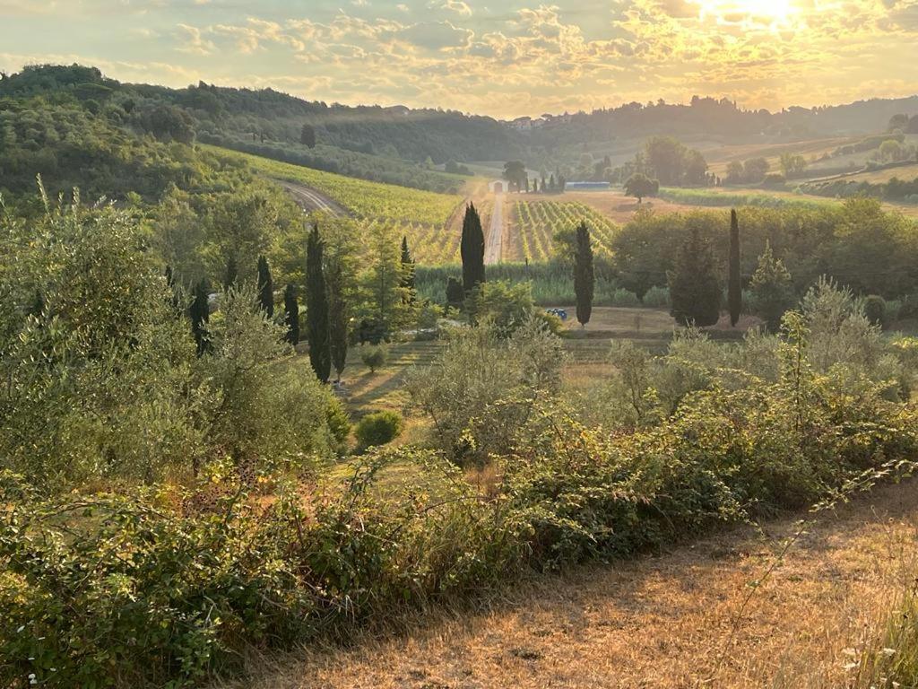 Sant'Ermo Agriturismo Campolungo מראה חיצוני תמונה
