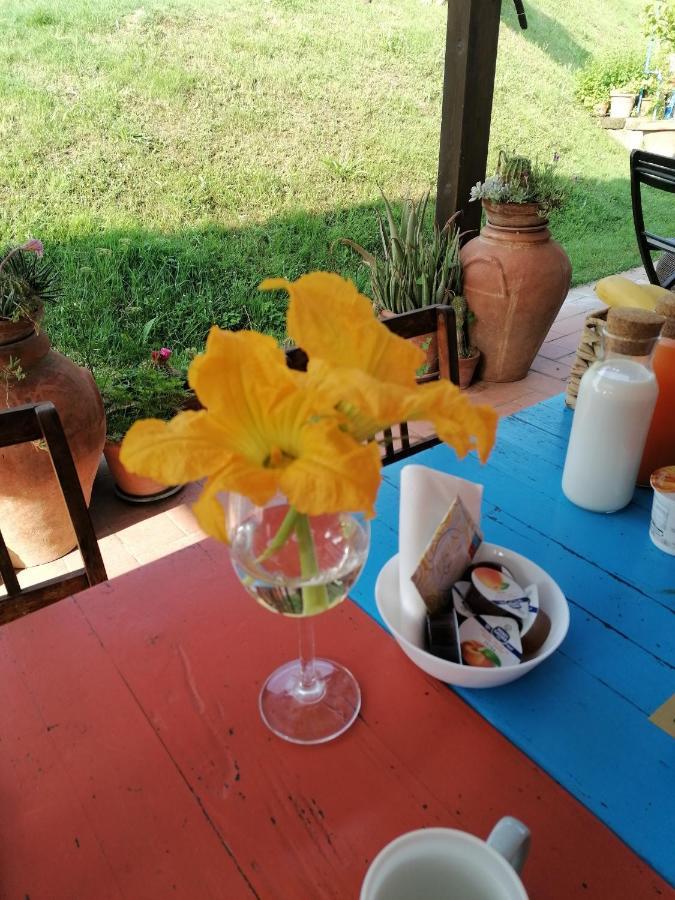 Sant'Ermo Agriturismo Campolungo מראה חיצוני תמונה