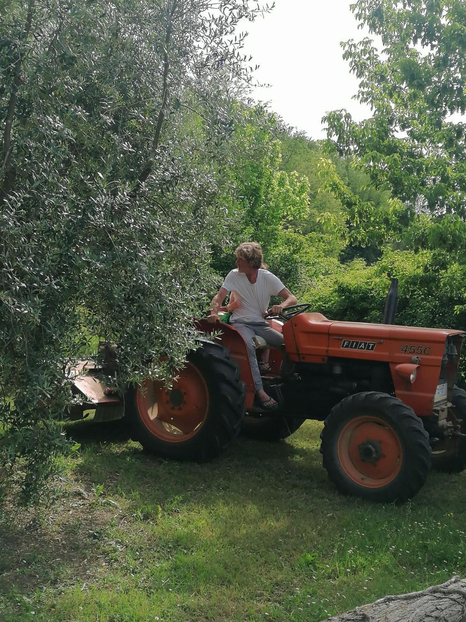Sant'Ermo Agriturismo Campolungo מראה חיצוני תמונה