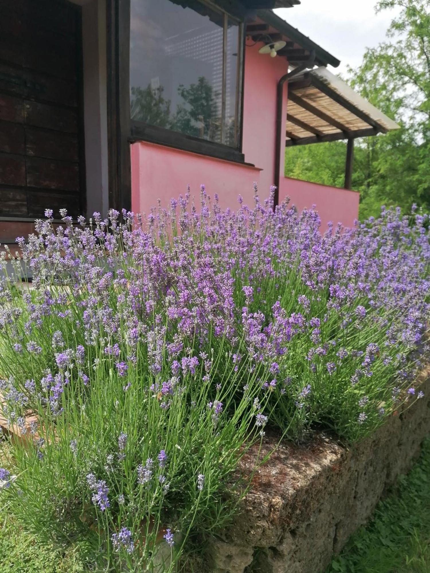 Sant'Ermo Agriturismo Campolungo מראה חיצוני תמונה