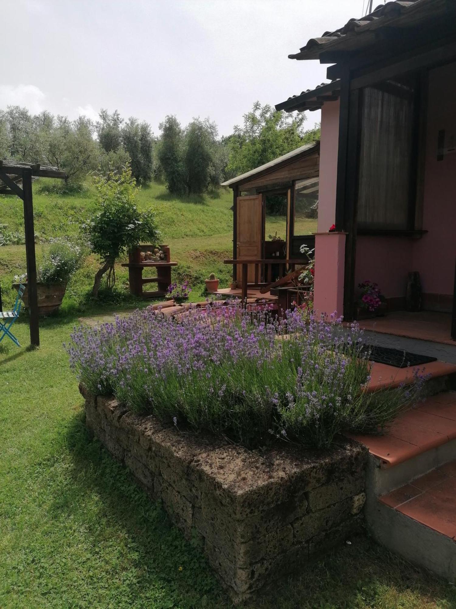 Sant'Ermo Agriturismo Campolungo מראה חיצוני תמונה