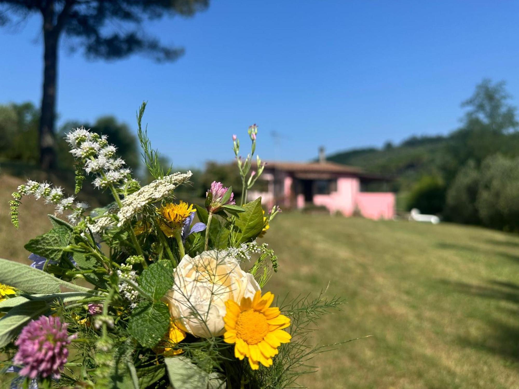 Sant'Ermo Agriturismo Campolungo מראה חיצוני תמונה