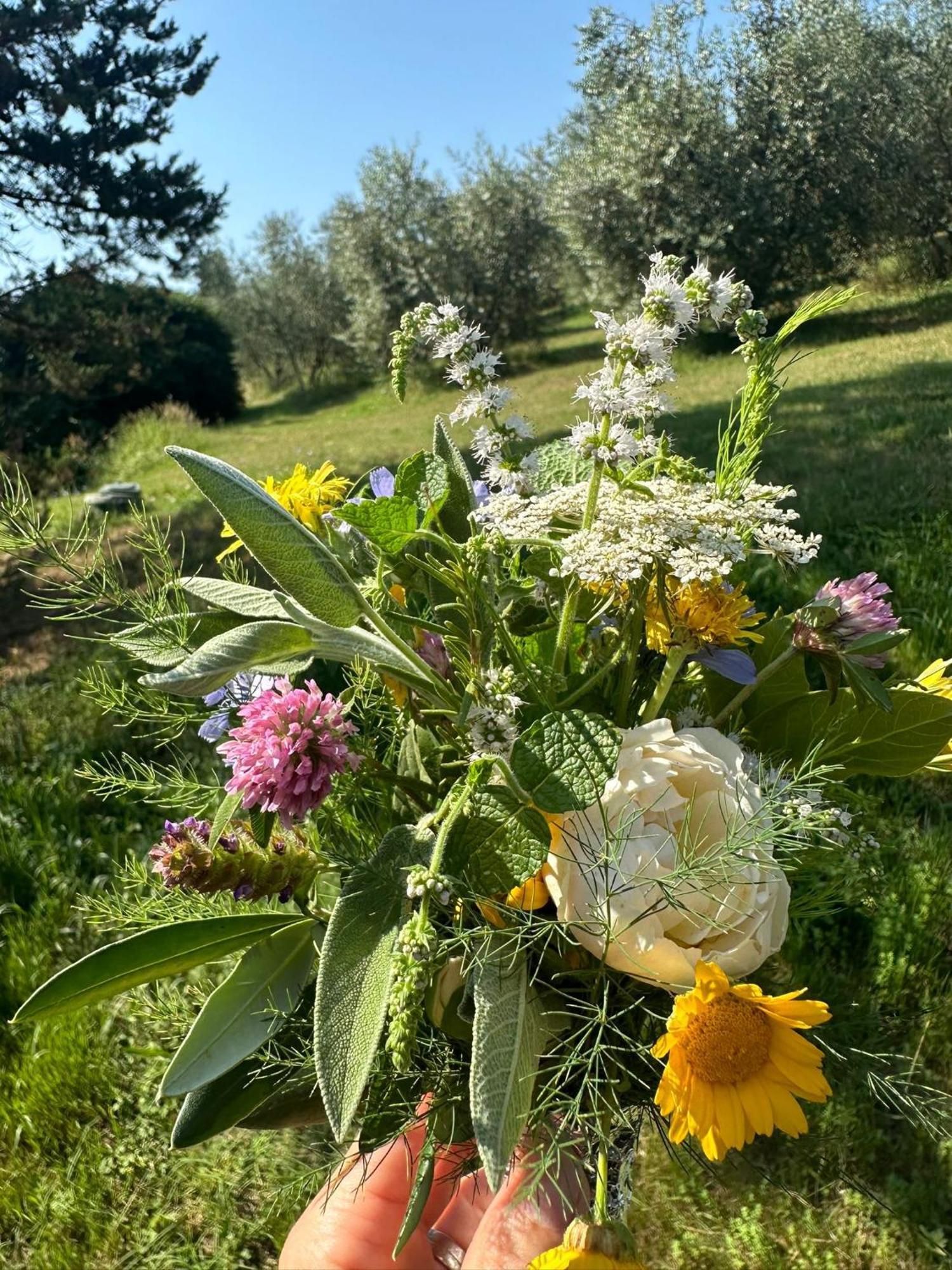 Sant'Ermo Agriturismo Campolungo מראה חיצוני תמונה