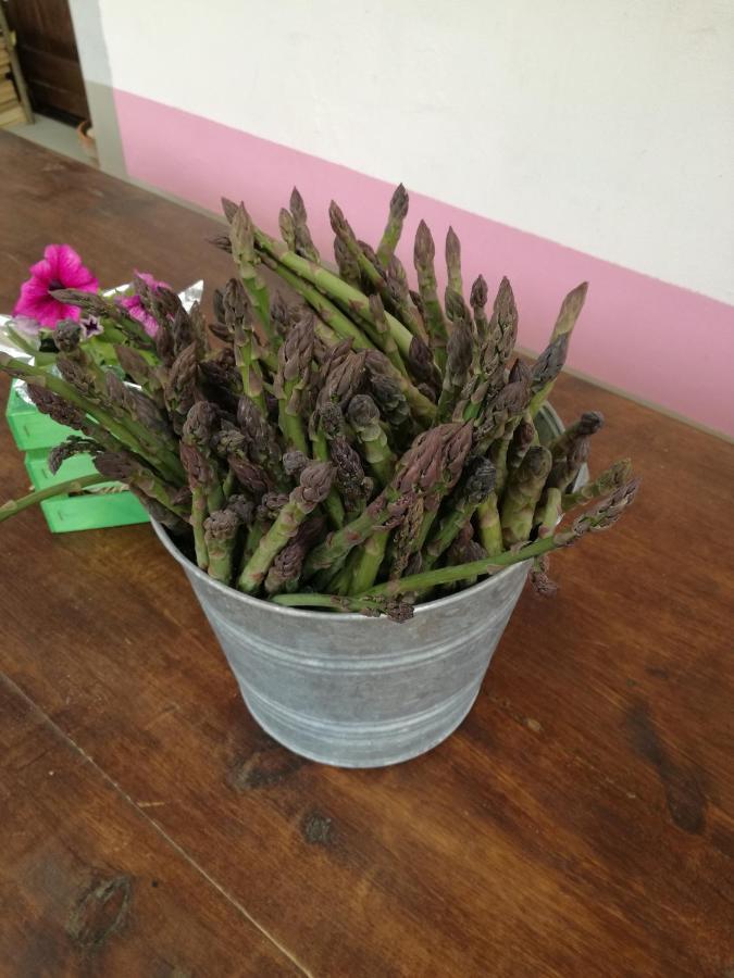 Sant'Ermo Agriturismo Campolungo מראה חיצוני תמונה